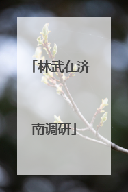 林武在济南调研