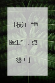 枝江“鱼医生”，点赞！
