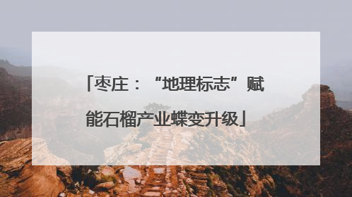 枣庄：“地理标志”赋能石榴产业蝶变升级