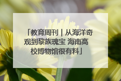 教育周刊｜从海洋奇观到黎族瑰宝 海南高校博物馆很有料