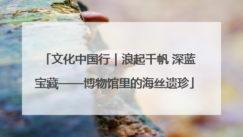 文化中国行｜浪起千帆 深蓝宝藏——博物馆里的海丝遗珍