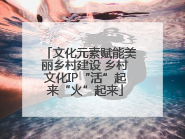 文化元素赋能美丽乡村建设 乡村文化IP“活”起来“火”起来