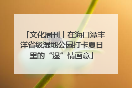 文化周刊丨在海口潭丰洋省级湿地公园打卡夏日里的“湿”情画意