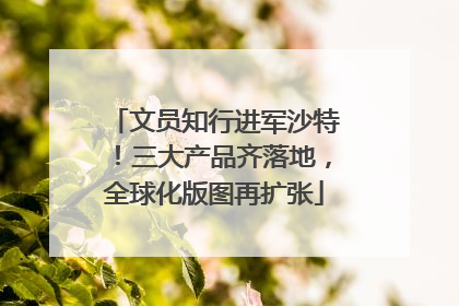 文员知行进军沙特！三大产品齐落地，全球化版图再扩张