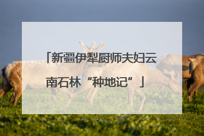 新疆伊犁厨师夫妇云南石林“种地记”
