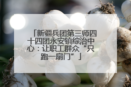 新疆兵团第三师四十四团永安镇综治中心：让职工群众“只跑一扇门”