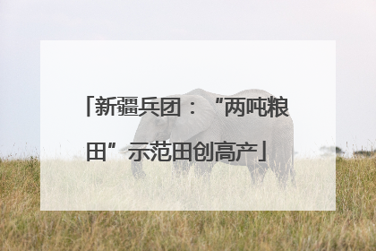 新疆兵团：“两吨粮田”示范田创高产