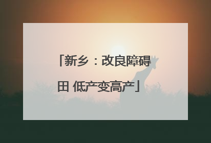 新乡：改良障碍田 低产变高产