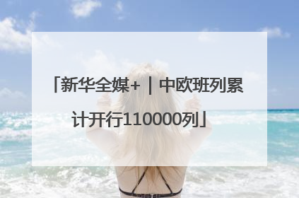 新华全媒+｜中欧班列累计开行110000列