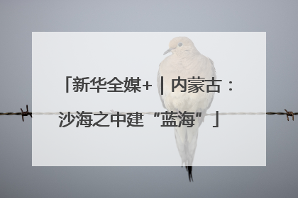 新华全媒+｜内蒙古：沙海之中建“蓝海”