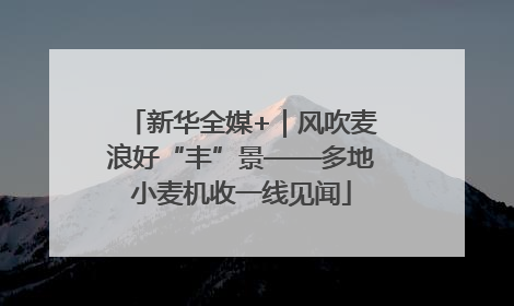 新华全媒+｜风吹麦浪好“丰”景——多地小麦机收一线见闻