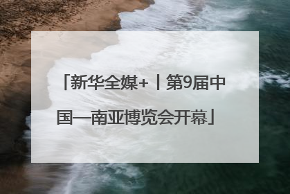 新华全媒+丨第9届中国—南亚博览会开幕