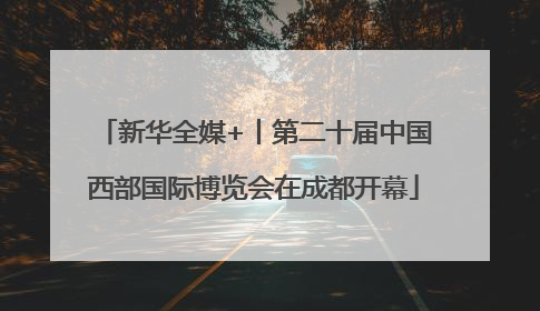 新华全媒+丨第二十届中国西部国际博览会在成都开幕