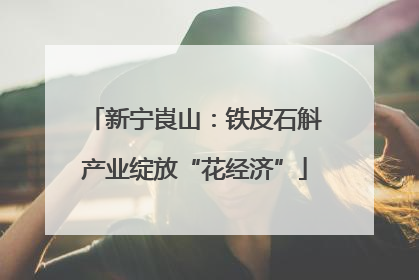 新宁崀山：铁皮石斛产业绽放“花经济”
