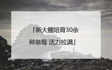 新大棚培育30余种草莓 活力拉满