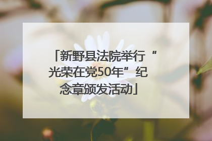 新野县法院举行“光荣在党50年”纪念章颁发活动