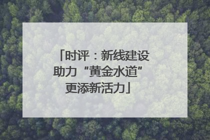 时评：新线建设助力“黄金水道”更添新活力