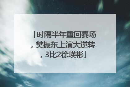 时隔半年重回赛场，樊振东上演大逆转，3比2徐瑛彬