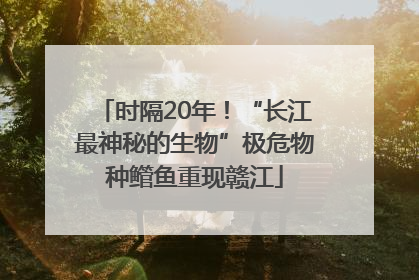 时隔20年！“长江最神秘的生物”极危物种鳤鱼重现赣江