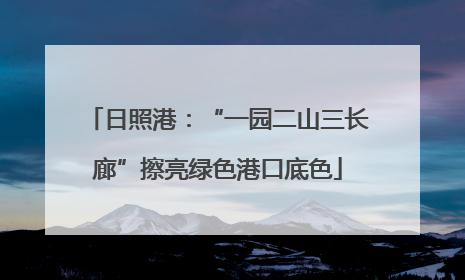 日照港：“一园二山三长廊”擦亮绿色港口底色