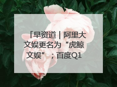 早资道｜阿里大文娱更名为“虎鲸文娱”；百度Q1总营收325亿元超预期