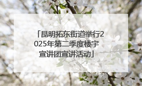 昆明拓东街道举行2025年第二季度楼宇宣讲团宣讲活动