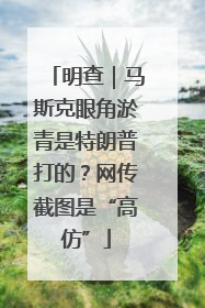明查｜马斯克眼角淤青是特朗普打的？网传截图是“高仿”