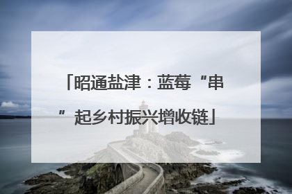 昭通盐津：蓝莓“串”起乡村振兴增收链