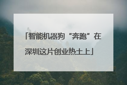智能机器狗“奔跑”在深圳这片创业热土上