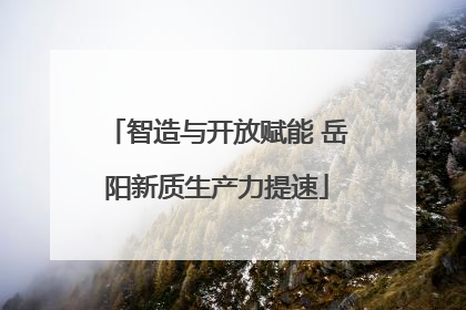 智造与开放赋能 岳阳新质生产力提速