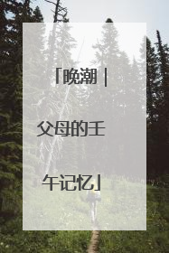 晚潮｜父母的壬午记忆
