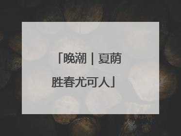 晚潮｜夏荫胜春尤可人