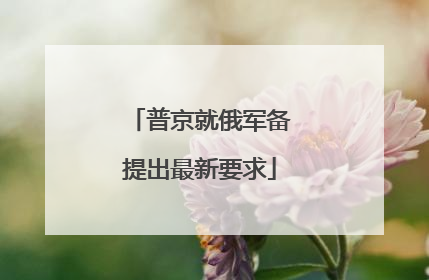 普京就俄军备提出最新要求
