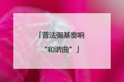 普法强基奏响“和谐曲”