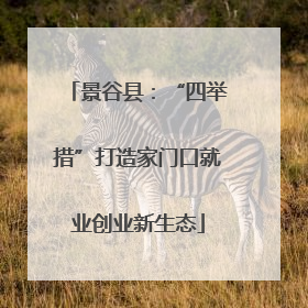 景谷县：“四举措”打造家门口就业创业新生态