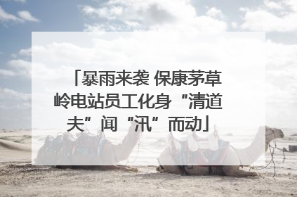 暴雨来袭 保康茅草岭电站员工化身“清道夫”闻“汛”而动