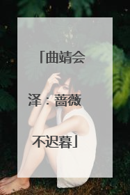 曲靖会泽：蔷薇不迟暮