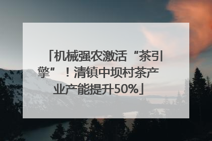 机械强农激活“茶引擎”！清镇中坝村茶产业产能提升50%