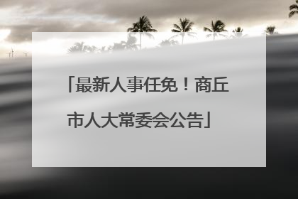 最新人事任免！商丘市人大常委会公告