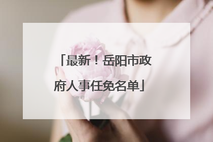 最新！岳阳市政府人事任免名单