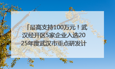 最高支持100万元！武汉经开区5家企业入选2025年度武汉市重点研发计划拟立项项目名单