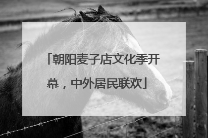 朝阳麦子店文化季开幕，中外居民联欢