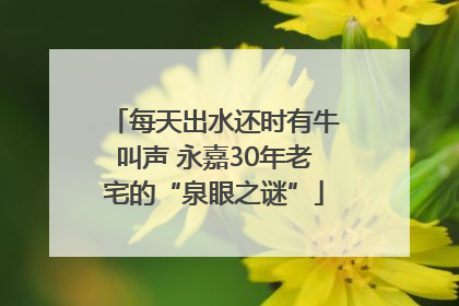 每天出水还时有牛叫声 永嘉30年老宅的“泉眼之谜”