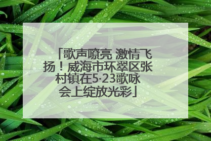 歌声嘹亮 激情飞扬！威海市环翠区张村镇在5·23歌咏会上绽放光彩