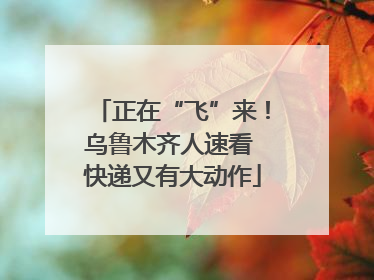 正在“飞”来！乌鲁木齐人速看 快递又有大动作