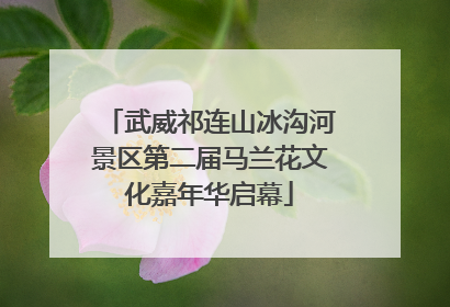 武威祁连山冰沟河景区第二届马兰花文化嘉年华启幕