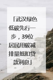 武汉绿色低碳先行一步，39位居民用碳减排量抵扣贷款利息