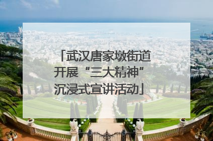 武汉唐家墩街道开展“三大精神”沉浸式宣讲活动