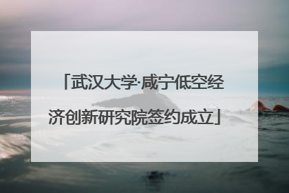 武汉大学·咸宁低空经济创新研究院签约成立