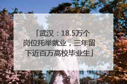 武汉：18.5万个岗位托举就业，三年留下近百万高校毕业生